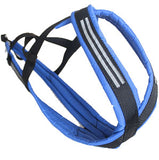 CLASSIC EXPEDITION HARNESS